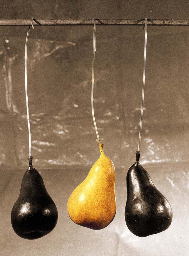 Museo della Frutta
