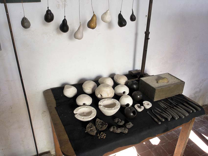 Insieme dei frutti, dei modelli e degli strumenti realizzati per il museo della frutta