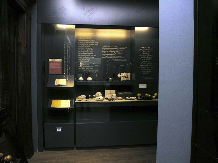 Vetrina con i frutti, i modelli e gli strumenti realizzati per l’allestimento del museo della frutta Garnier Valletti di Torino