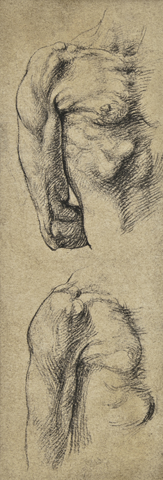 Matita nera, studio per scultura