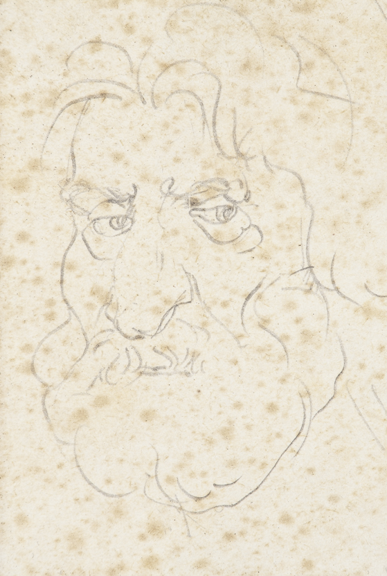 Disegni e studi